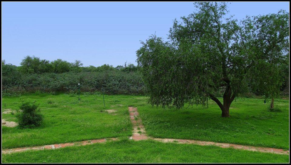 Hotel Bharatpur Ashok Exterior photo